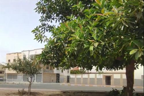 Appartement Anouar Souss