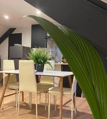 Appartement Atypique- Esprit Atelier Loft - parking privé - Wifi - vidéo