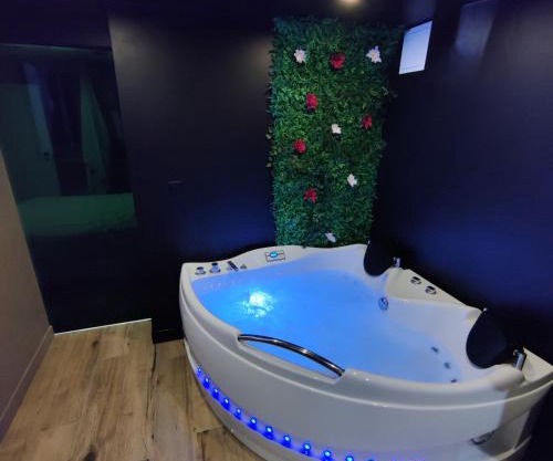 Appartement avec jacuzzi