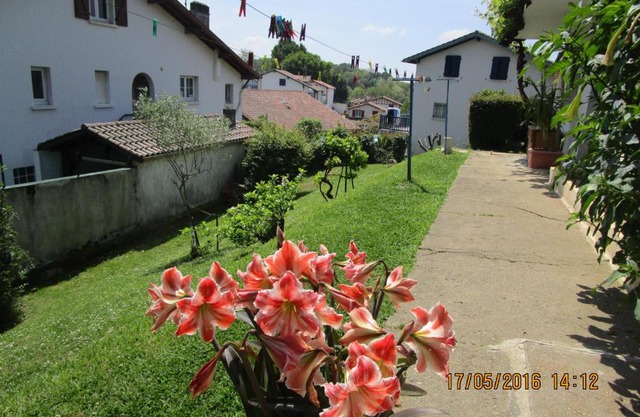 Appartement Bigarena