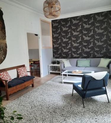 Appartement centre historique Ferreol