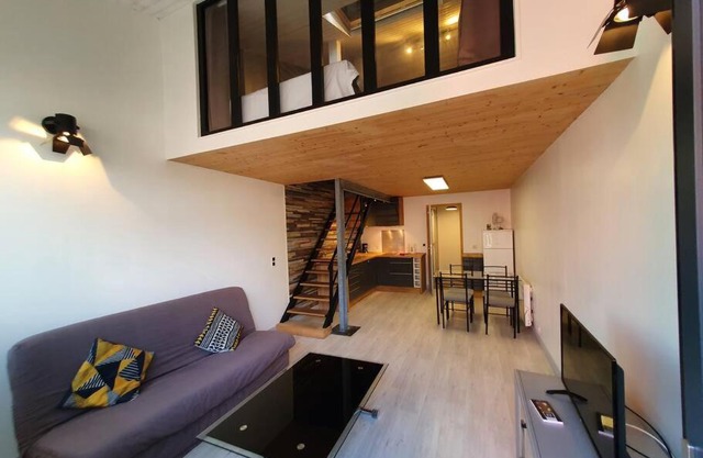 APPARTEMENT CENTRE VILLE AU CALME JARDIN et PARKING PUBLIC