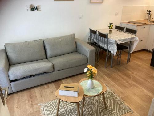 Appartement centre-ville 1