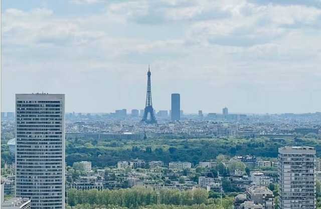 Appartement Cosy-chic Paris La Défense