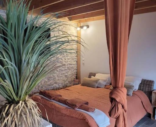 Appartement cosy & piscine privée - Le Strelitzia