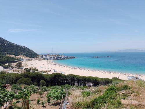 Appartement dalia