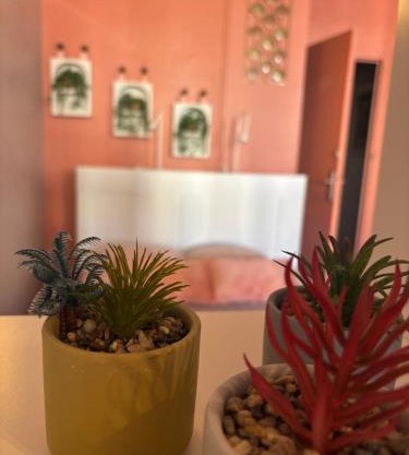 Appartement de l'îlot des Chaudronniers