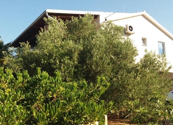appartement Juras 1
