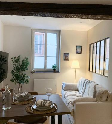 Appartement Puits-Clos - Quartier Capitole
