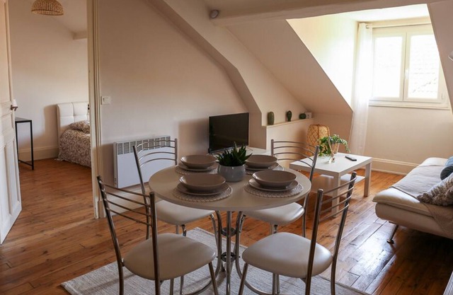 Appartement Standing Dans un Ancien Palace 35m2 Emplacement Idéal