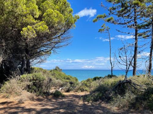 Appartement T2 bord de mer N165