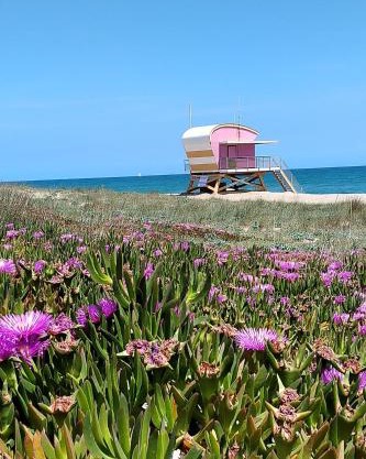 Appartement T2 en résidence Naturiste en bord de Mer