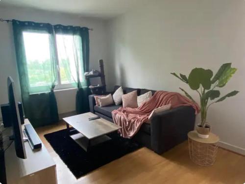 Appartement T2 entier et spacieux près du centre historique de Bayonne