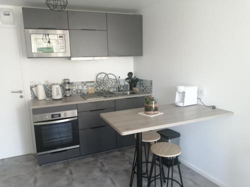 Appartement T2 indépendant avec terrasse et parking gratuit - Proche palais des congrès-Baie de Saint-Brieuc