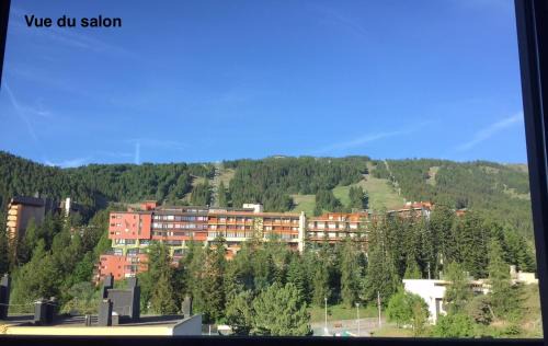 Appartement T4 esprit chalet jolie vue PRA LOUP 1600