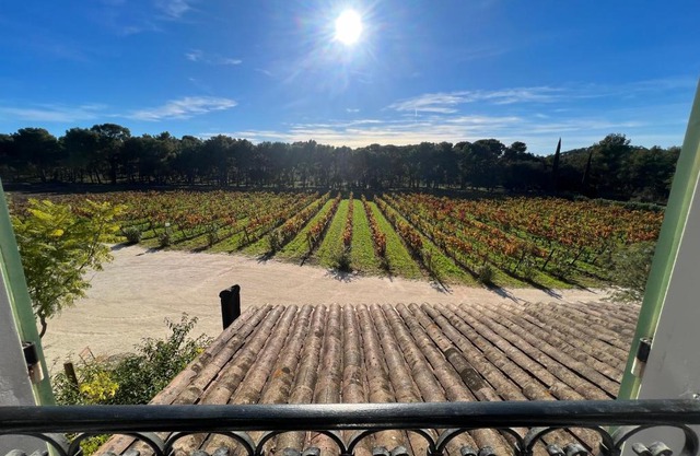 Appartement unique dans le domaine de la sangliere