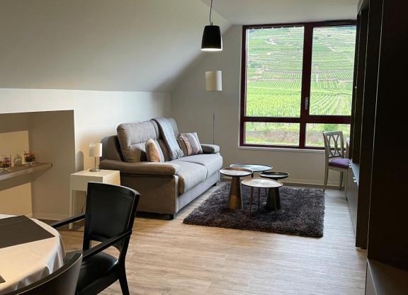 Appartements de Manon au cœur des vignes