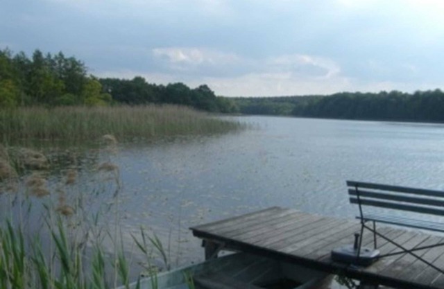 APPEL-HUUS directamente en el lago - APPEL-HUUS directamente en el lago