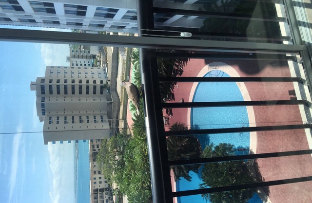 Apto tipo loft piso abierto