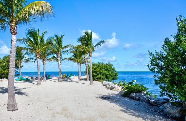 Aqua Lodge Rentals At Coconut Cay
