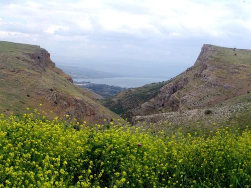 Arbel Holiday Homes