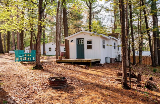 Arbutus Lake Cozy Cabin-Pontoon Rentals Available