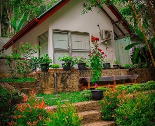 Arcadea Eco Lodge