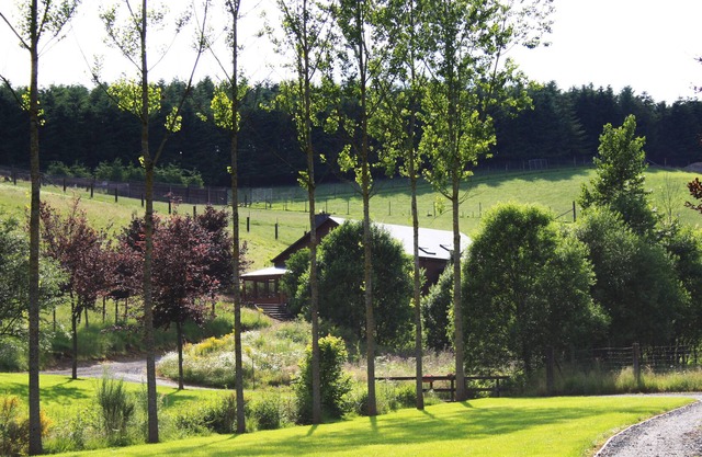 Casa rural de las Ardenas rodeada de parques de juegos, al pie del bosque de Anlier