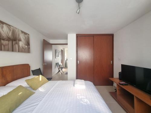 Ardival Tiny 308 - WAIWA HOST