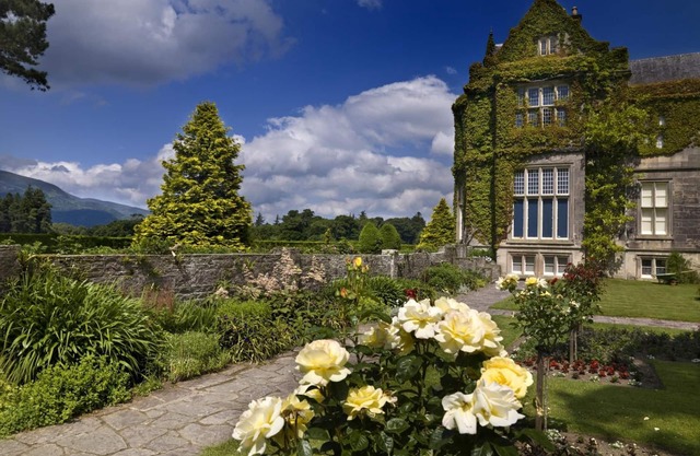 Ardree House Bed & Breakfast
