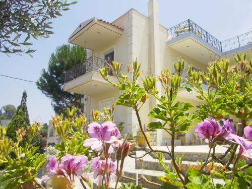 Areti & Maria Apartments