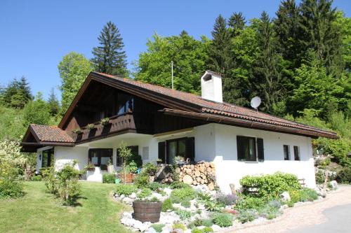 Arnika