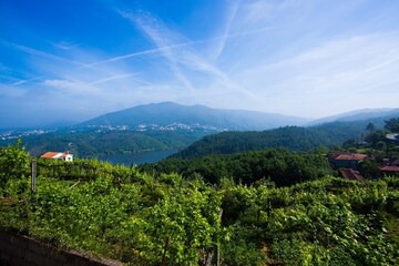 Arrabia Bunga Douro in Raiva