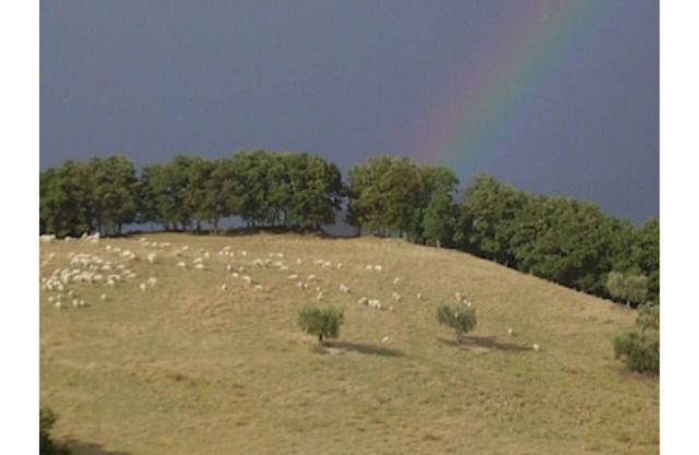 Artemisia, Agriturismo Ca'Mazzetto