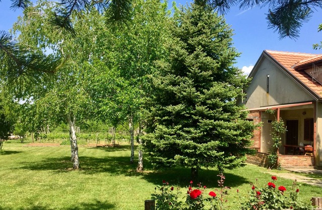 Rancho artista con viñedo, piano, kayak, bicicletas y hermoso jardín.