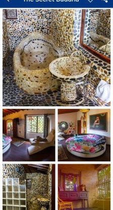 Artsy lush villa with jungle garden in the city