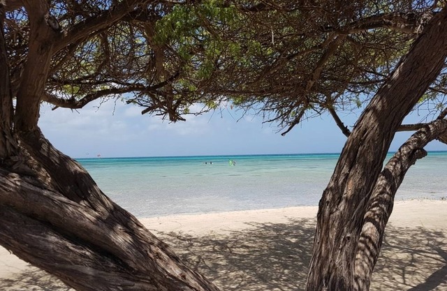 Aruba Beach Villas