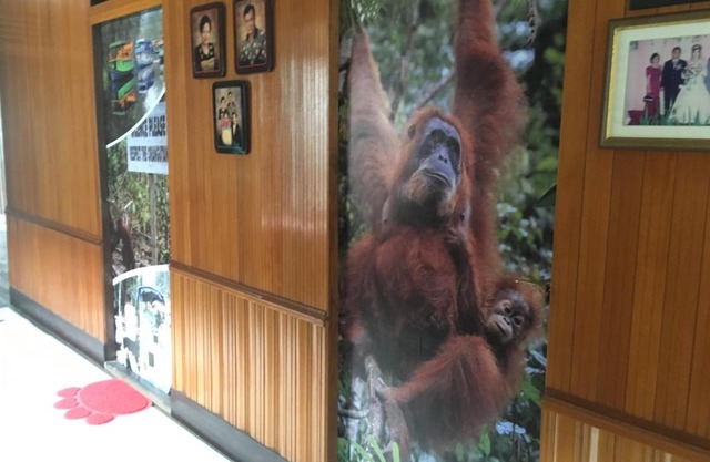 Arut Riverside Guesthouse