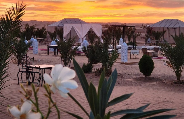 Asafar Luxury Camp