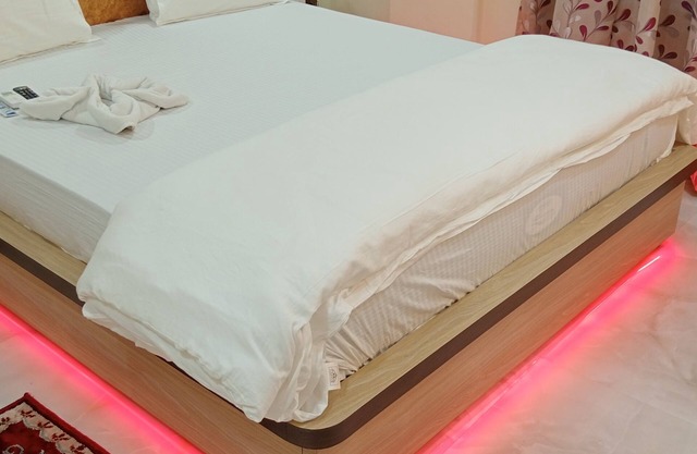 Asha Inn