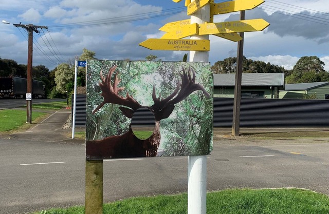 Ashhurst Deer N Duck Inn