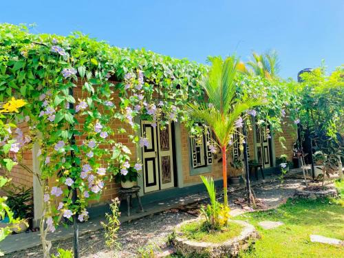 Ashok villa
