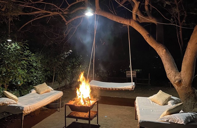Asiatic Lion Lodge