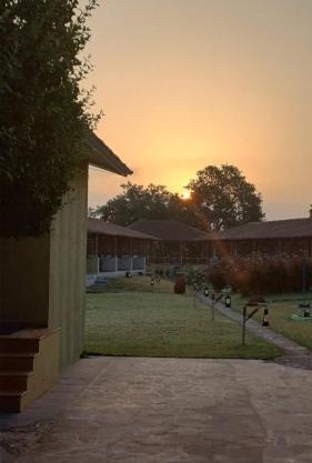 Asiatic Lion Lodge