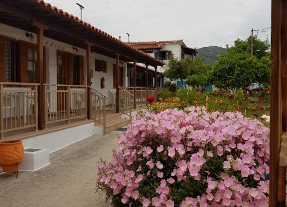Asimina's House