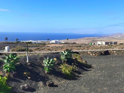 Asomada Views