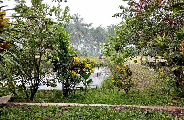 Asparin Homestay