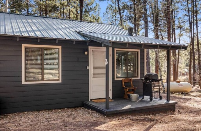 Aspen Cabin 2 Summary