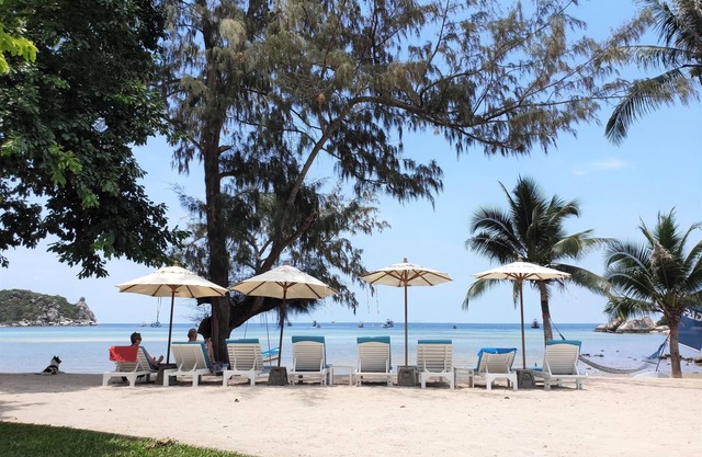 Assava Dive Resort