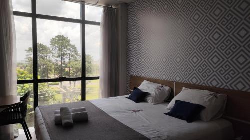 Assay Plaza Hotel
